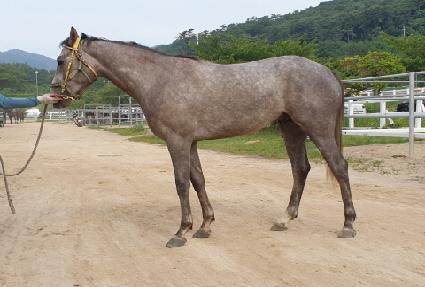 ��������� ����