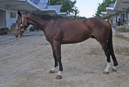 ��Ʈ�� ����