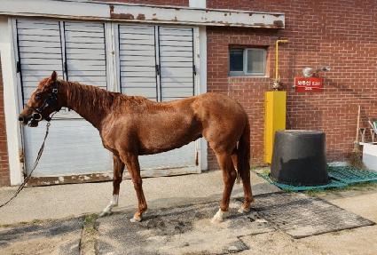 ũ����� ����