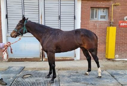 ����ε� ����