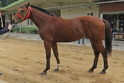 ���ĸ���ƾ ����