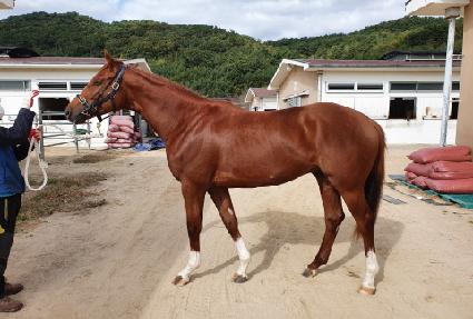 ������ġ�� ����