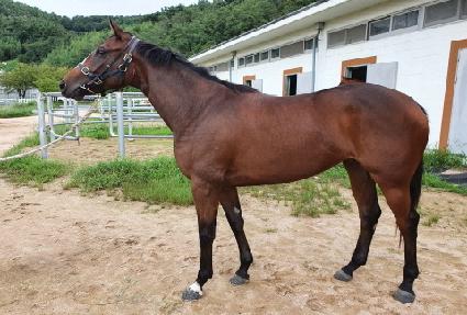 �����̴��� ����