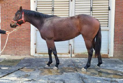 ü��Ű���� ����