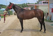 �Ű��Բ� (SINGWA HAMKKE) ����