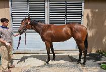 TWO TWO COIN picture