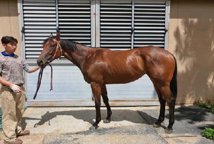 �������� ����