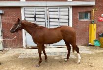 �Ŀ��۽�Ʈ (COME ON FIRST) ����