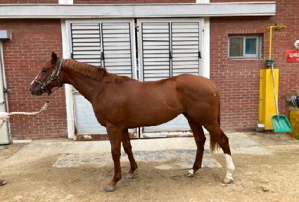 �Ŀ��۽�Ʈ ����