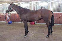 �ʰ���� (CHOGYE BIHAENG) ����