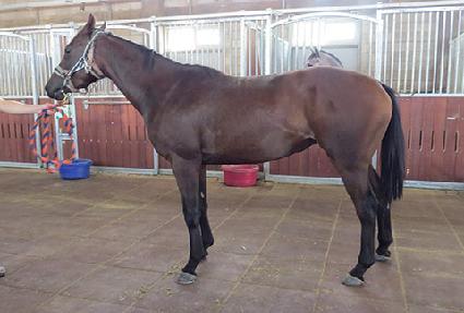 �ʰ���� ����