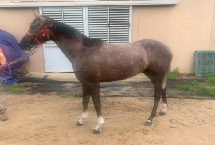 ������۷θ� ����