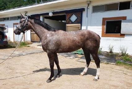 ��ȭ���� ����