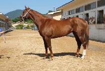 �۷�����Ƽ (HALLOWEEN PARTY) ����