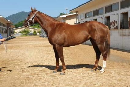 �۷�����Ƽ ����