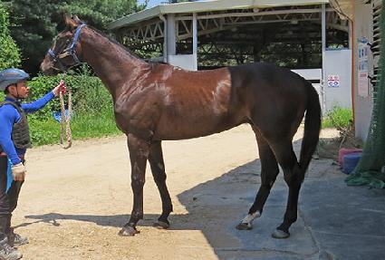 ȭ�������� ����