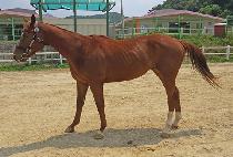 �����Ŀ� (JEONGSANG POWER) ����