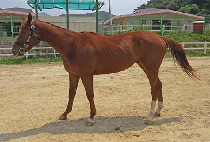 �����Ŀ� ����