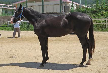 �ӽ����Ŀ� ����