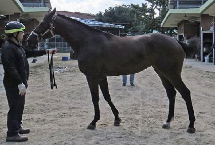 �ݾ���Ƽ ����