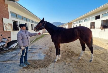 ĳġ���� ����