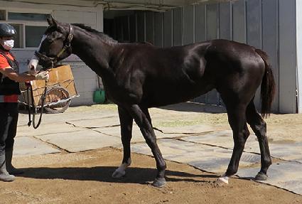 ���ϼ��� ����