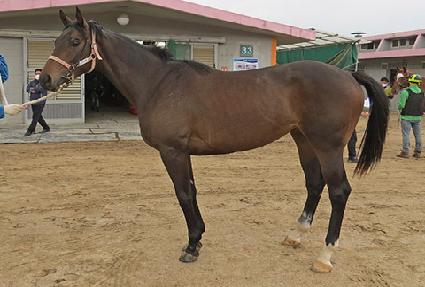 ������ ����