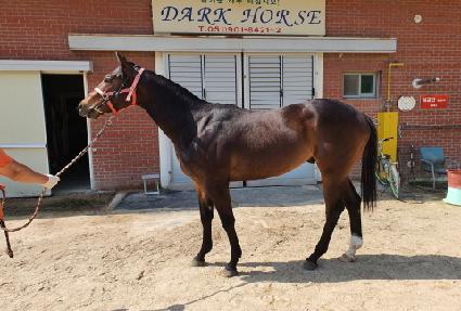 �׷���ǻ�� ����