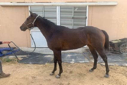 ��彺��Ʈ ����