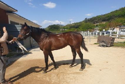 ���ε��� ����