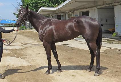 �̶�Ŭ���� ����