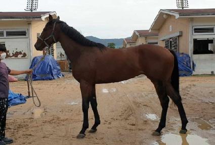 ����ǮƼ�� ����