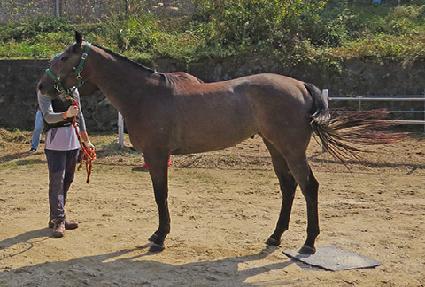 ���Ǵ��� ����