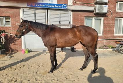 ���ʹ�� ����