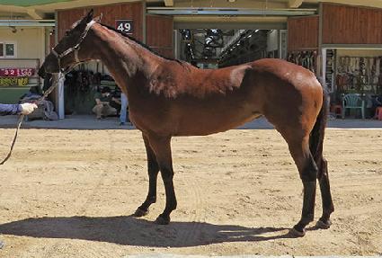 �������� ����