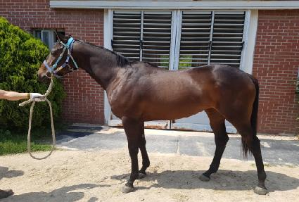 ���ϸ޷� ����