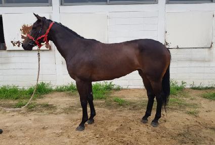 ��������Ʈ ����