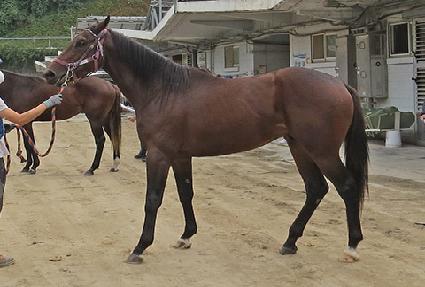 ������ȭ ����