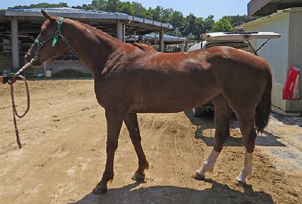 �ƶ󼱻��� ����