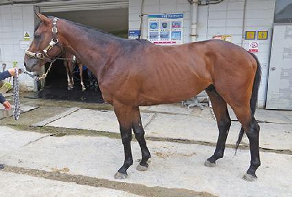 �����̿� ����