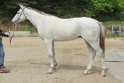 ������ ����