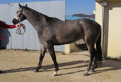 ����Ƽ�� ����