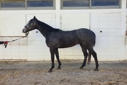 �ݾƴ��� ����