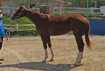 ���̻��� ����