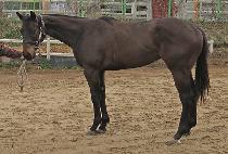 ���Ŭ���� (JANGSAN CLEAR) ����