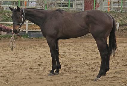 ���Ŭ���� ����