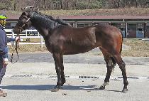 ��ֵ� (HEUNG ADDY) ����