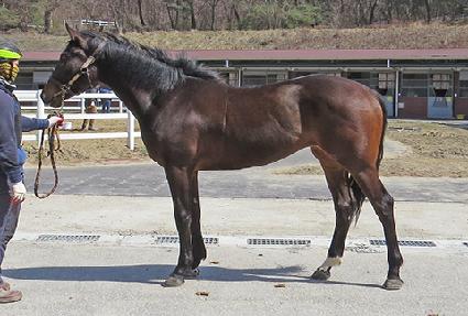 ��ֵ� ����