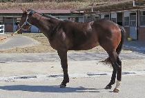 ������ (HEUNGWA GIPPEUM) ����