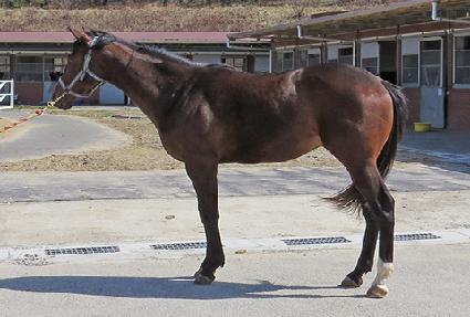 ������ ����